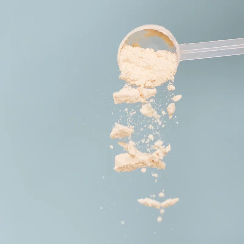 Vanilla Bone Broth Protein - Taylor Dukes Wellness