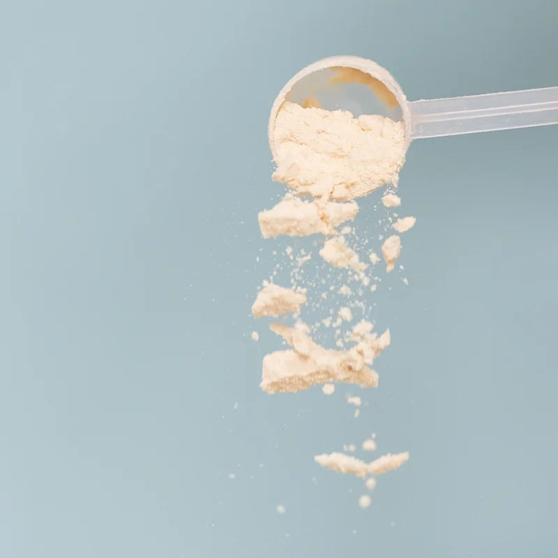 Vanilla Bone Broth Protein