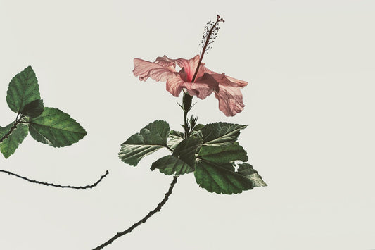 How to find your best moisturizer - Taylor Dukes Wellness