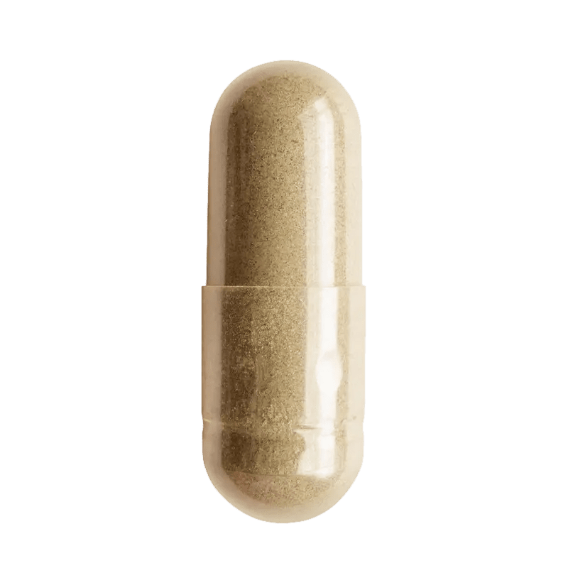 Parasite Bundle - Taylor Dukes Wellness