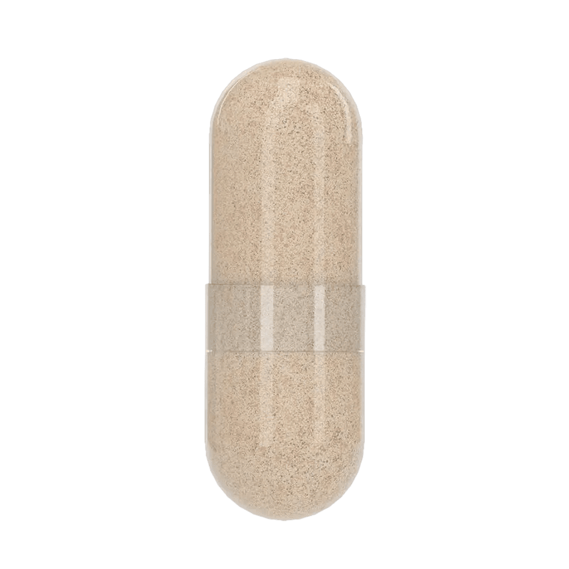 Probiotic - Taylor Dukes Wellness
